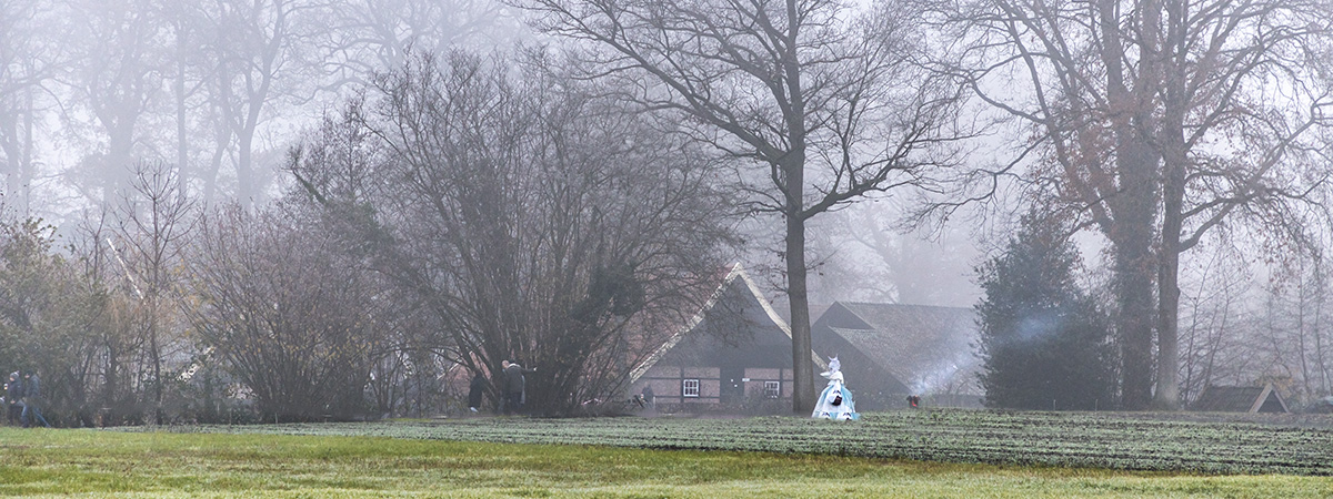 21555_sneeuw_wendezoele_erf