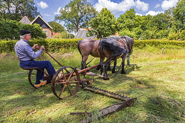16519_gelegenheidsgroep_600